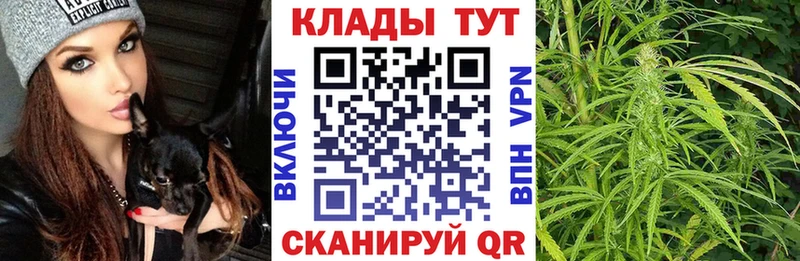Наркошоп купить ГЕРОИН  Канабис  Альфа ПВП  Гашиш  Меф мяу мяу  COCAIN  Белозерск