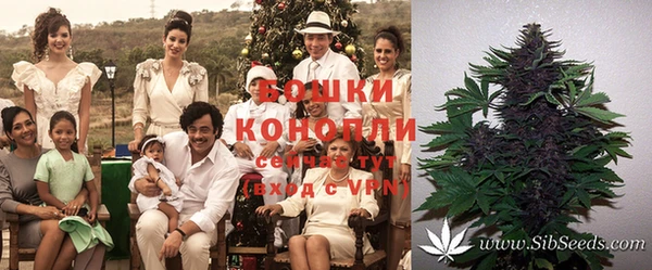 COCAINE Кинешма
