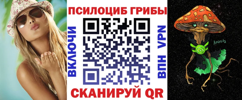 Псилоцибиновые грибы Psilocybe  Купить где  Белозерск 